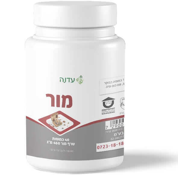 עדנה שרף מור