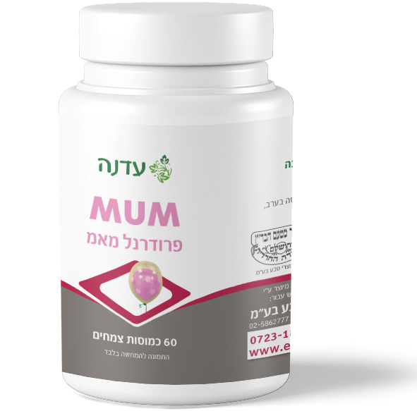 עדנה פרודרנל מאם
