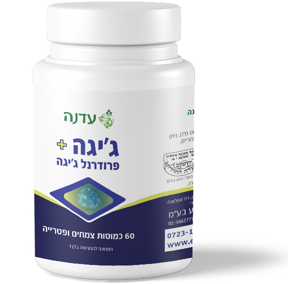 +עדנה ג'יגה